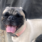 Lucy